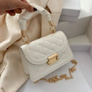 Mini Chic de Lujo