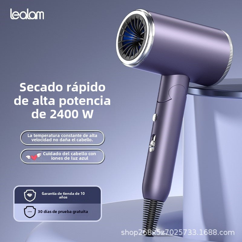 Secador de Pelo Plegable Profesional : Secado Rápido