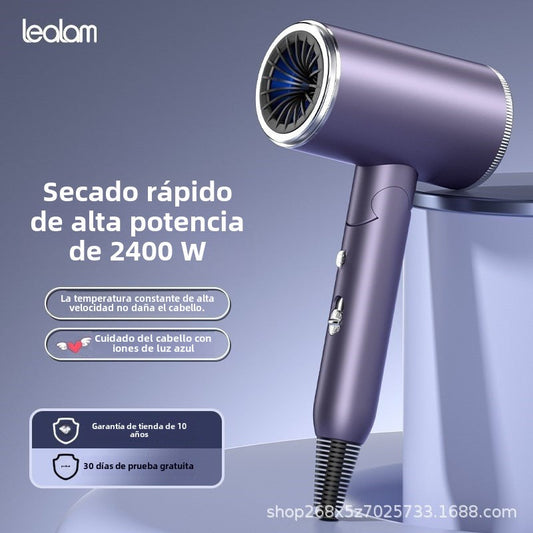Secador de Pelo Plegable Profesional : Secado Rápido